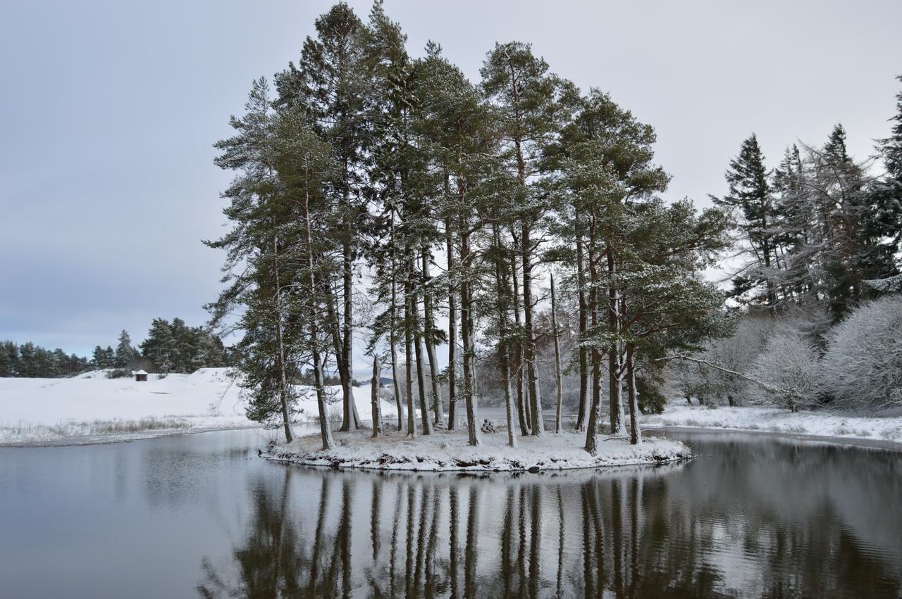 The Pines - Luxury 3-Bed Apartment Near Golf & Spa, Gleneagles, Auchterarder Kültér fotó